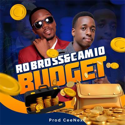 budget by robross ft camio