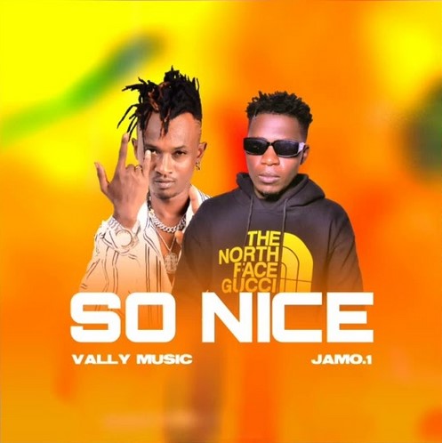 so nice by he.vally music x jamo no1