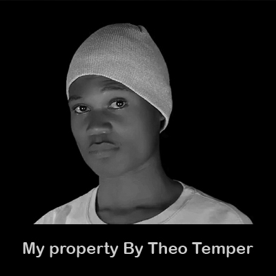 my property by theo temper