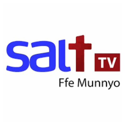 Salt TV