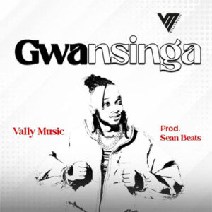 Gwansinga By Vally Music