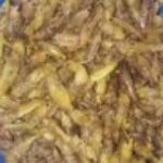 Profile picture of Nasasiira Melon